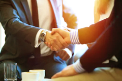 Professionals/ Consultants